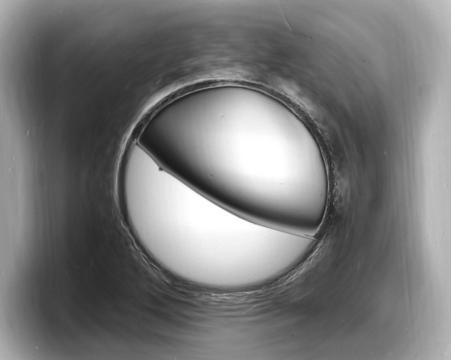 X0000098181272200804241023