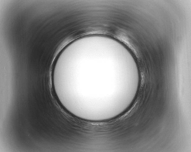 X0000098181274200804241023