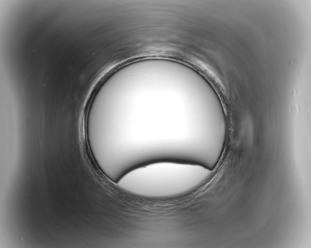 X0000098181275200804241023
