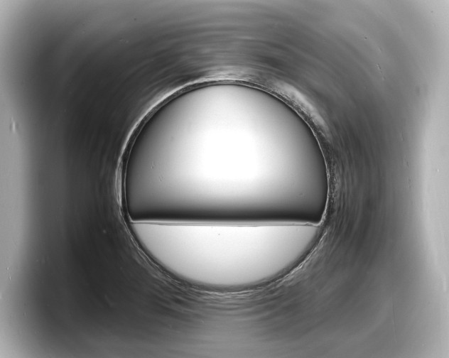 X0000098181276200804241023