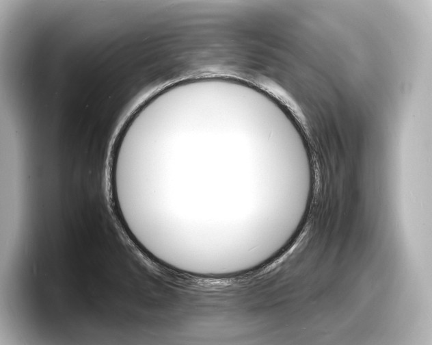 X0000098181278200804241023