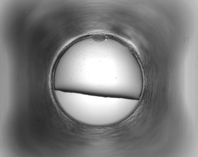 X0000098181279200804241023
