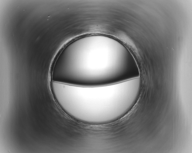 X0000098181280200804241023