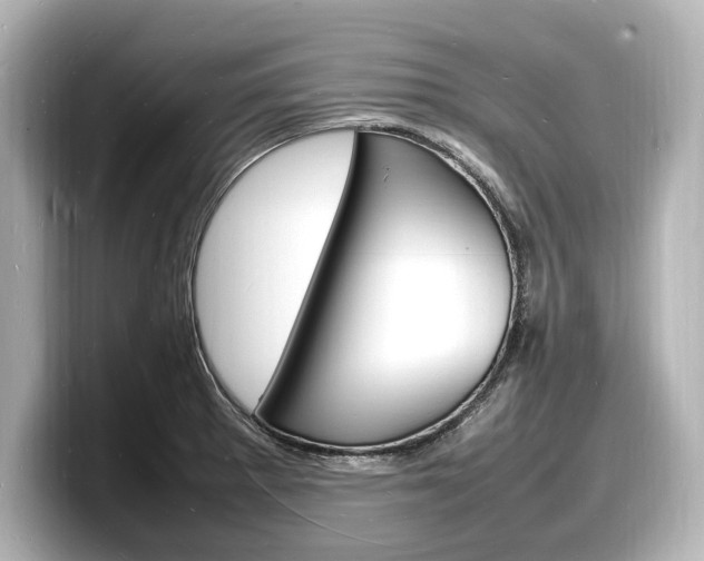 X0000098181281200804241023