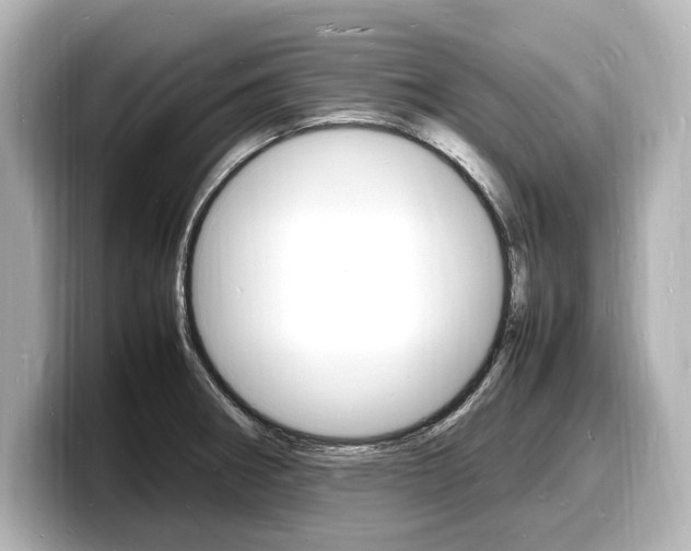 X0000098181282200804241023