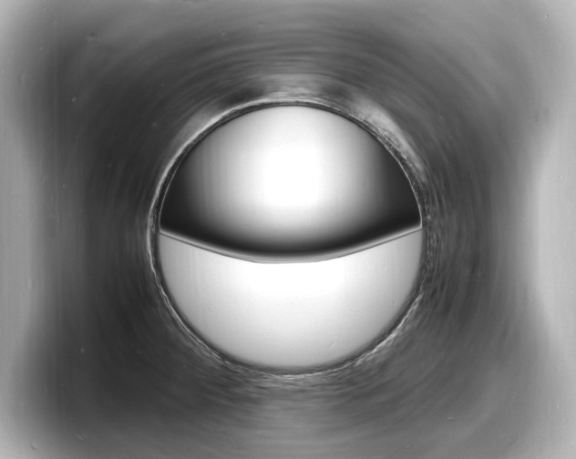 X0000098181284200804241023
