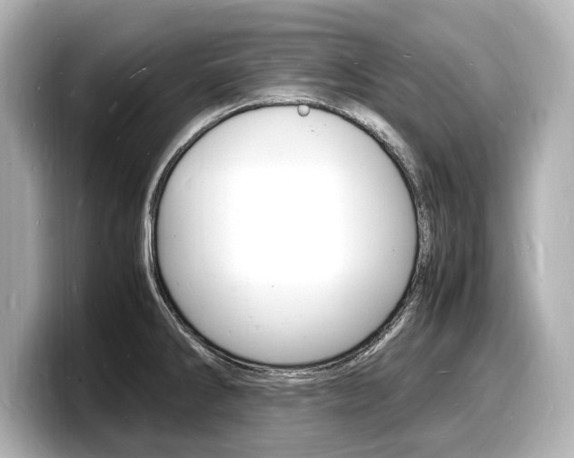 X0000098181286200804241023
