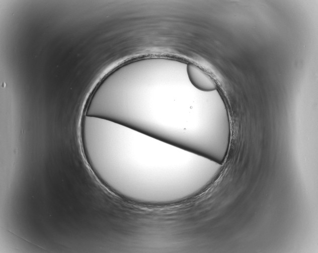 X0000098181287200804241023