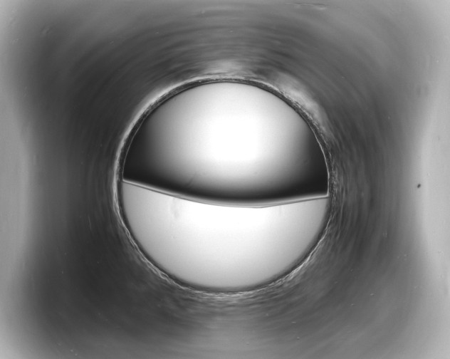 X0000098181288200804241022