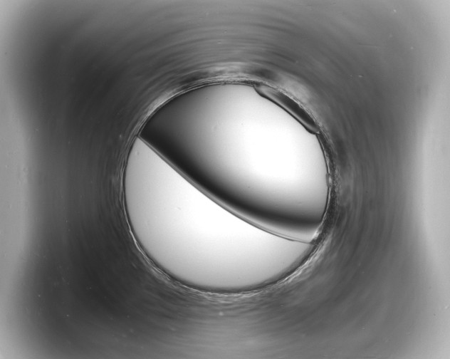 X0000098181289200804241022