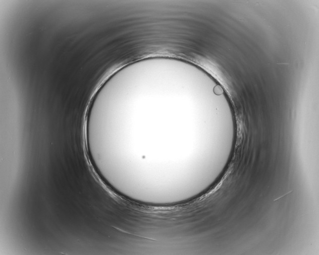 X0000098181290200804241022