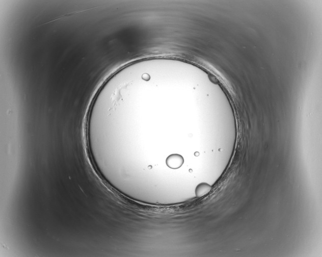X0000098181291200804241022