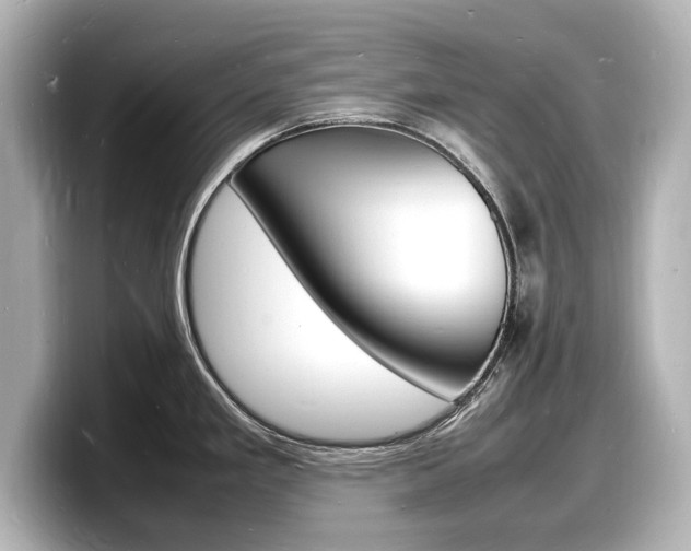 X0000098181293200804241022
