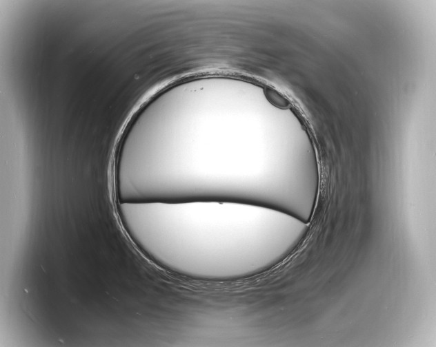 X0000098181295200804241022