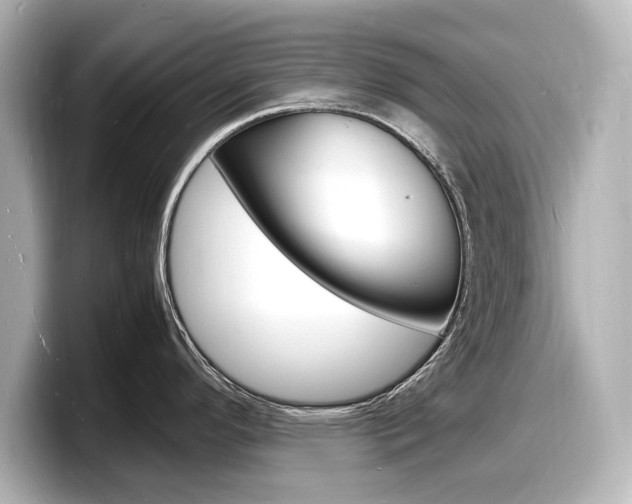 X0000098181296200804241022