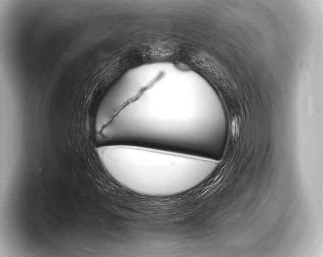X0000098181299200804241022