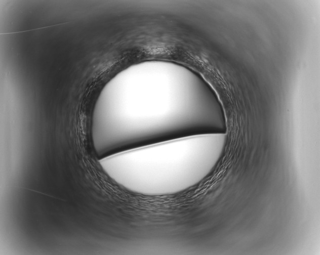 X0000098181301200804241022