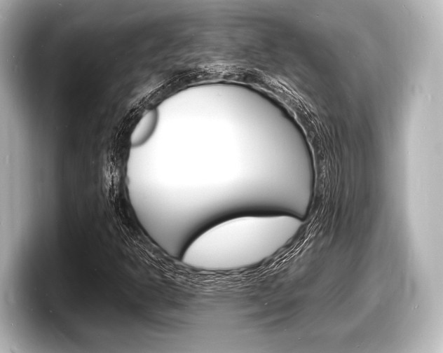 X0000098181302200804241022