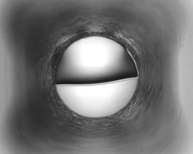 X0000098181303200804241022