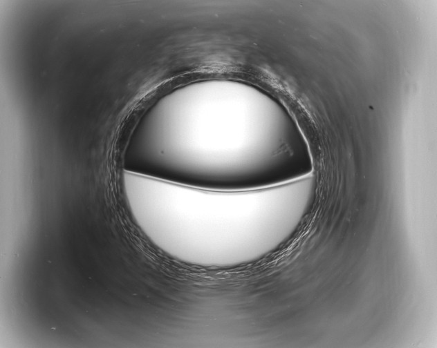 X0000098181304200804241022