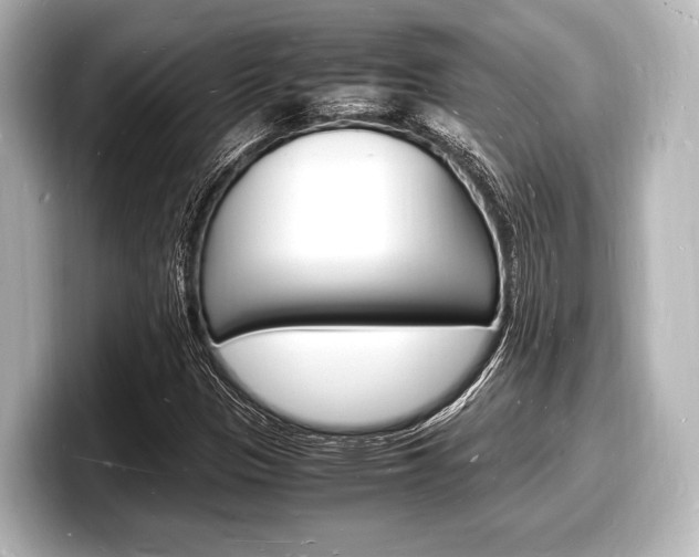 X0000098181305200804241022