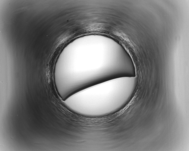 X0000098181306200804241022