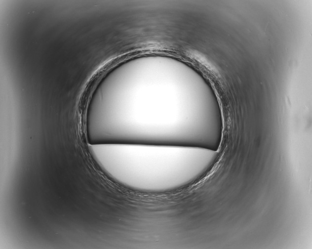 X0000098181310200804241022