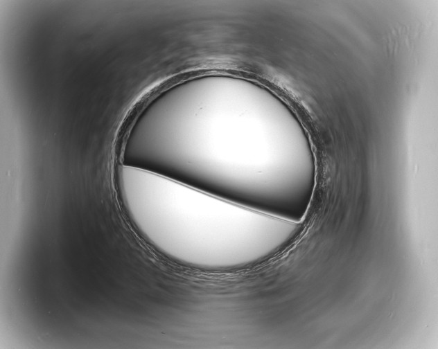 X0000098181312200804241022