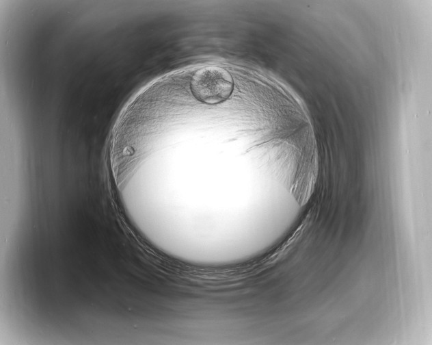X0000098181318200804241022