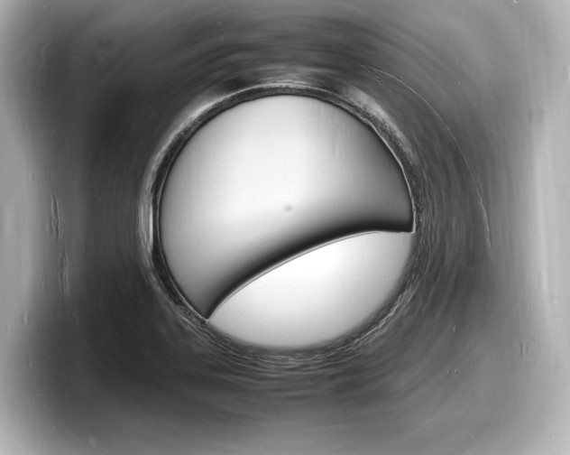 X0000098181323200804241022