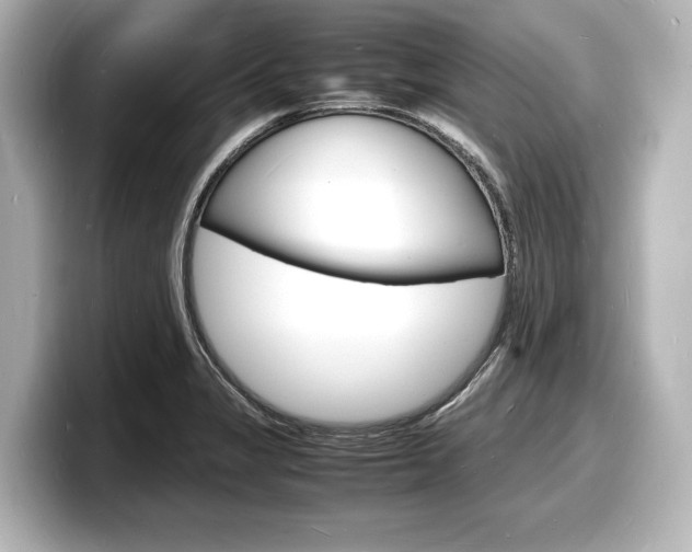 X0000098181325200804241022