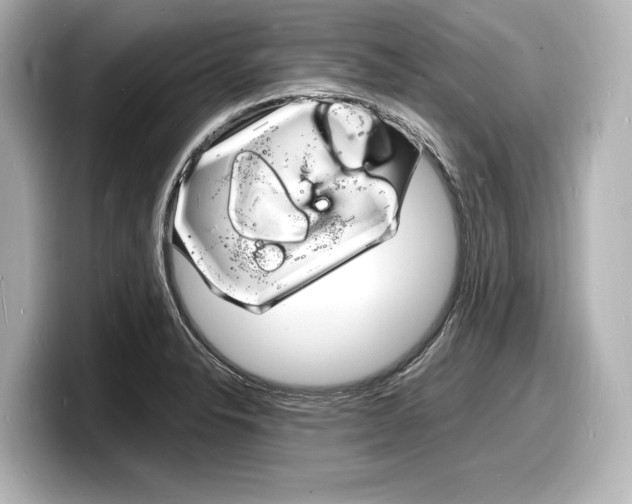 X0000098181326200804241022