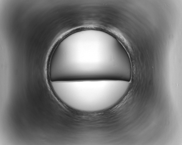 X0000098181327200804241022