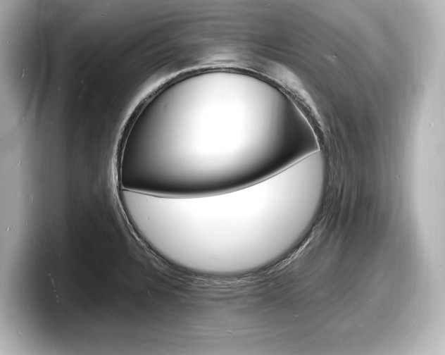 X0000098181328200804241022