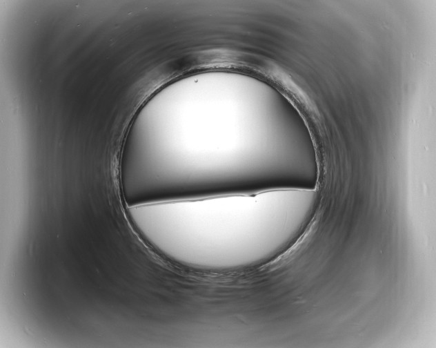 X0000098181329200804241022