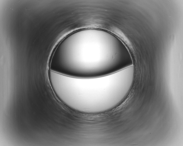 X0000098181332200804241022