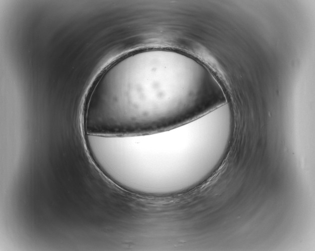 X0000098181334200804241022