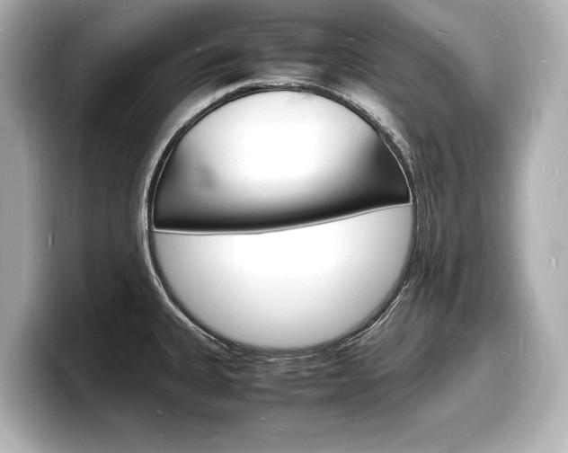 X0000098181335200804241022