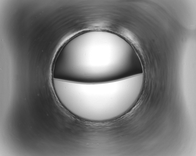 X0000098181336200804241022