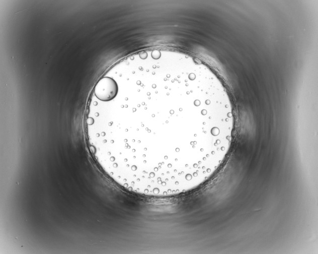 X0000098181338200804241022
