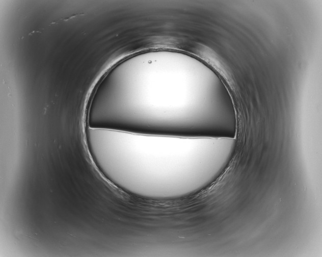 X0000098181339200804241022