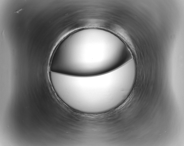 X0000098181340200804241022