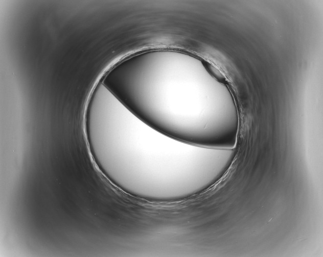 X0000098181342200804241022