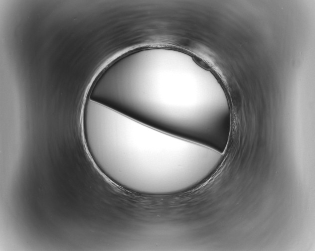 X0000098181343200804241022