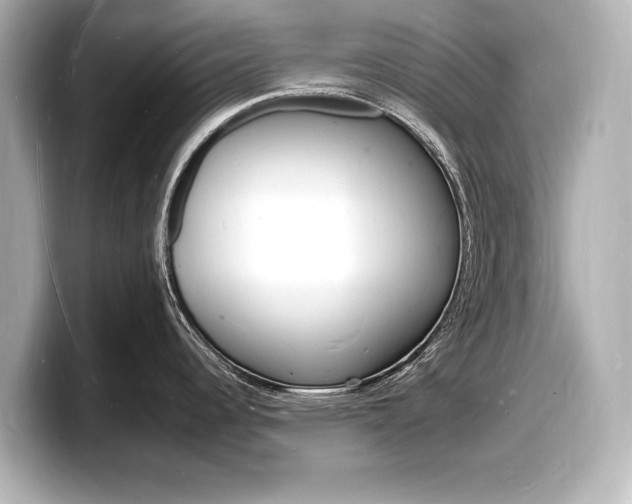 X0000098181344200804241022