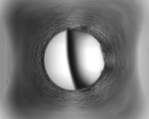 X0000098181345200804241022