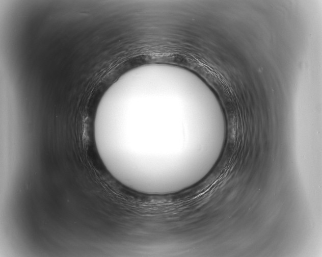 X0000098181346200804241022