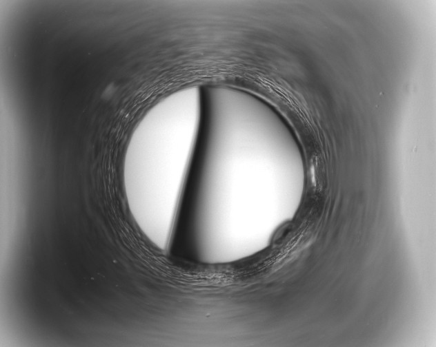 X0000098181347200804241022