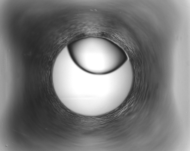 X0000098181348200804241022