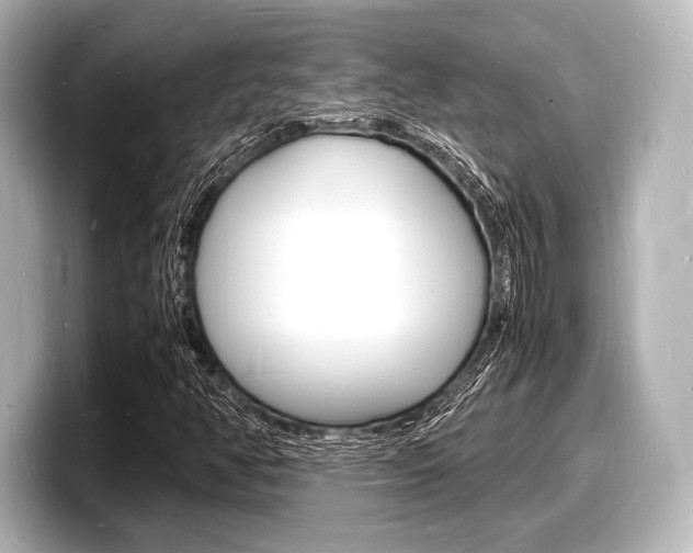 X0000098181350200804241022